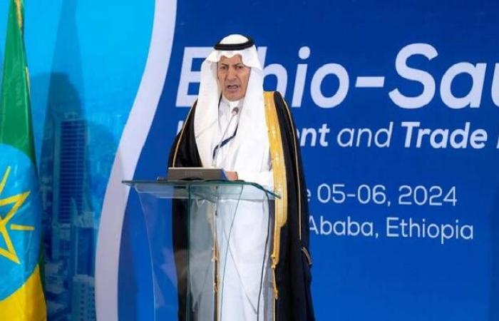 المملكة
      وإثيوبيا
      تعلنان
      إنشاء
      مجلس
      أعمال
      مشترك
