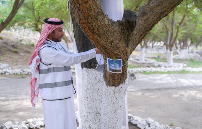 مبادرة تطوعية لتنمية الغطاء النباتي في الباحة