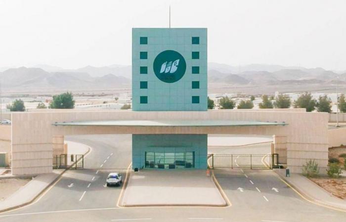 جامعة جدة تتألق بـ ٢٦ دبلوم مجاني