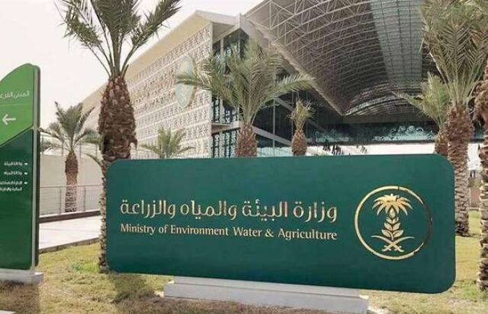 "البيئة"
      تطرح
      فرصة
      استثمارية
      لإنشاء
      مصنعٍ
      للأعلاف
      المركّبة