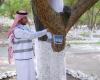 مبادرة تطوعية لتنمية الغطاء النباتي في الباحة
