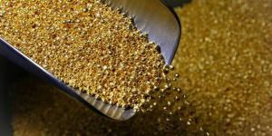 الذهب
      يتجه
      نحو
      أكبر
      انخفاض
      أسبوعي
      في
      خمسة
      شهر