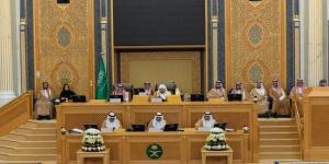 آل
      الشيخ:
      حضور
      وزير
      التجارة
      لمجلس
      الشورى
      لمناقشة
      حماية
      المستهلك
      والأسعار
