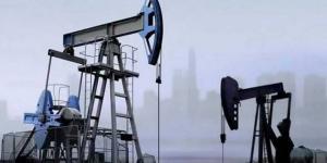 ارتفاع
      أسعار
      النفط
      في
      نهاية
      تعاملات
      الأربعاء