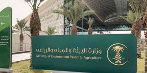 "البيئة"
      تطرح
      فرصًا
      استثمارية
      لإنشاء
      مدن
      زراعية
      متكاملة
      في
      مكة
      المكرمة