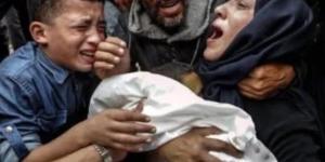 بيان وزارى عربى وإسلامى يدعو إلى الوقف الفورى لإطلاق النار فى قطاع غزة