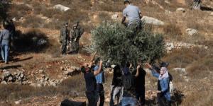 الجيش الإسرائيلي يمنع نشطاء أجانب من الوصول إلى بورين