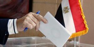 مصر: التلويح بإلغاء الانتخابات النيابية بسبب "التزوير"