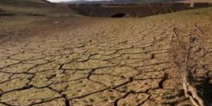 ندرة المياه تهدد العالم.. الفاو: انخفاض توافر المياه المتجدد بنسبة 7% للفرد