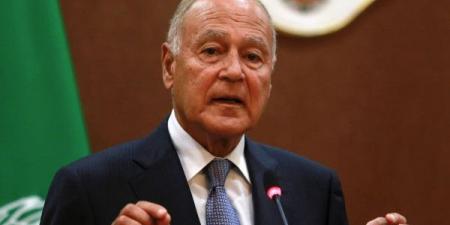 أبو الغيط:قرار مجلس الأمن حول غزة يمثل بداية طريق لابد أن ينتهي بتجسيد الدولة