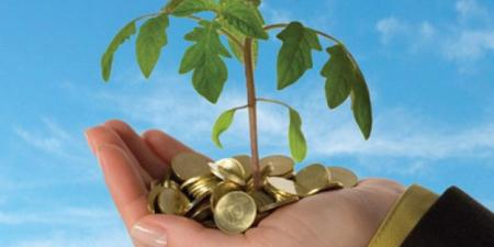 المبادرون في تجاربهم بين الطموح العالي والتحديات التنظيمية والاقتصادية