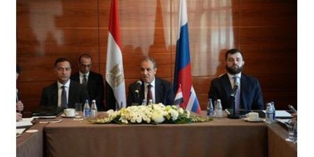 وزير الخارجية: مصر تسخّر كل جهودها الديبلوماسية لوقف التصعيد بالمنطقة