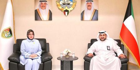 وكيل «الدفاع» بحث تطوير وتعزيز التعاون الدفاعي مع السفيرة التركية