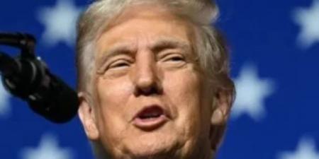 تحرك من الديمقراطيين لعزل ترامب من منصبه بالتعديل الـ 25 للدستور الأمريكى