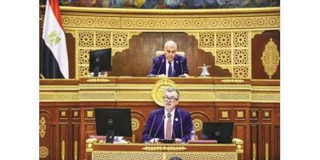 وزير التخطيط أمام «الشيوخ»: بناء الإنسان أولوية خطة التنمية الاقتصادية والاجتماعية 2026/2027
