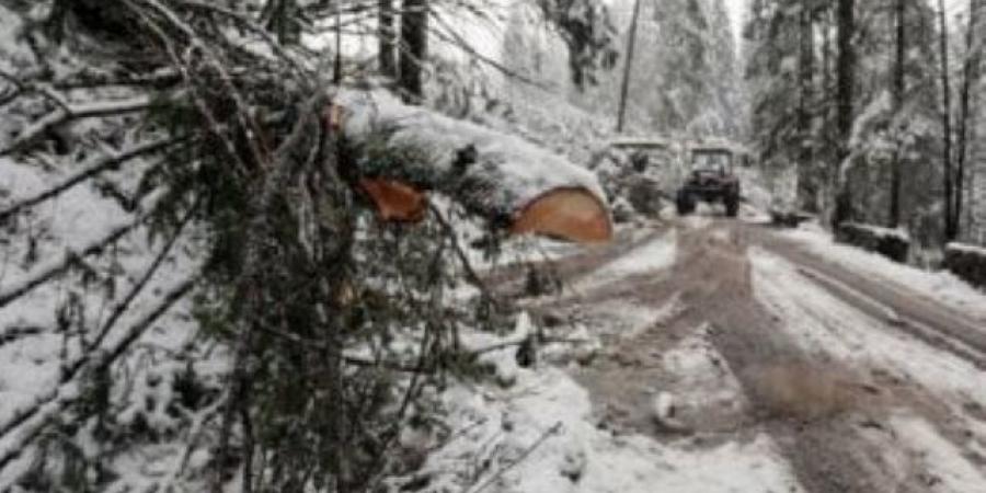 خلال 24 ساعة.. ما هى تفاصيل اقتراب العاصفة "بايرون" من الشرق الأوسط؟