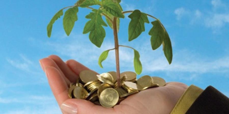 المبادرون في تجاربهم بين الطموح العالي والتحديات التنظيمية والاقتصادية