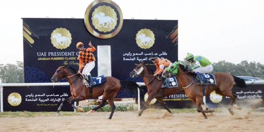 19 جولة بالنسخة 33 من كأس رئيس الدولة للخيول العربية