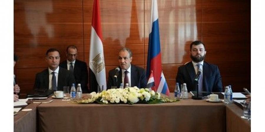 وزير الخارجية: مصر تسخّر كل جهودها الديبلوماسية لوقف التصعيد بالمنطقة