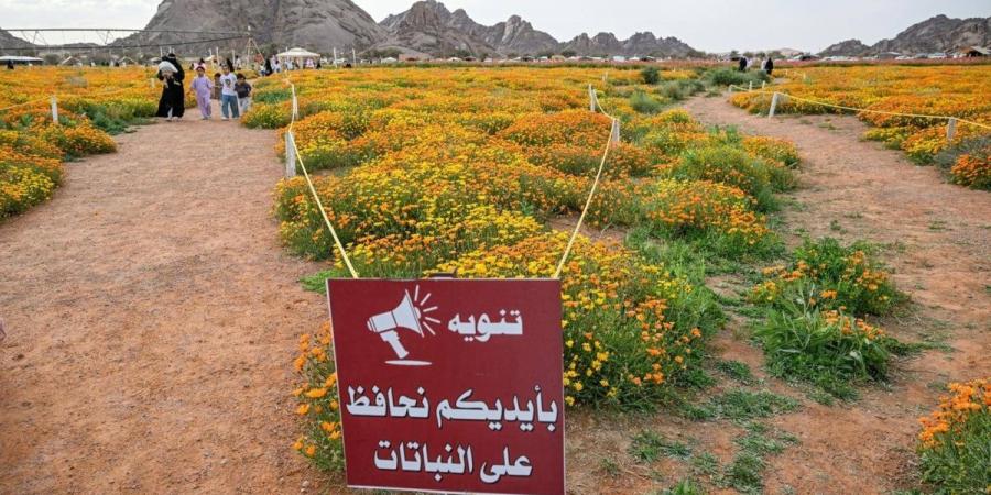 محمية توارن البرية بحائل.. تنوع طبيعي وإرث تاريخي يعززان سياحة المنطقة