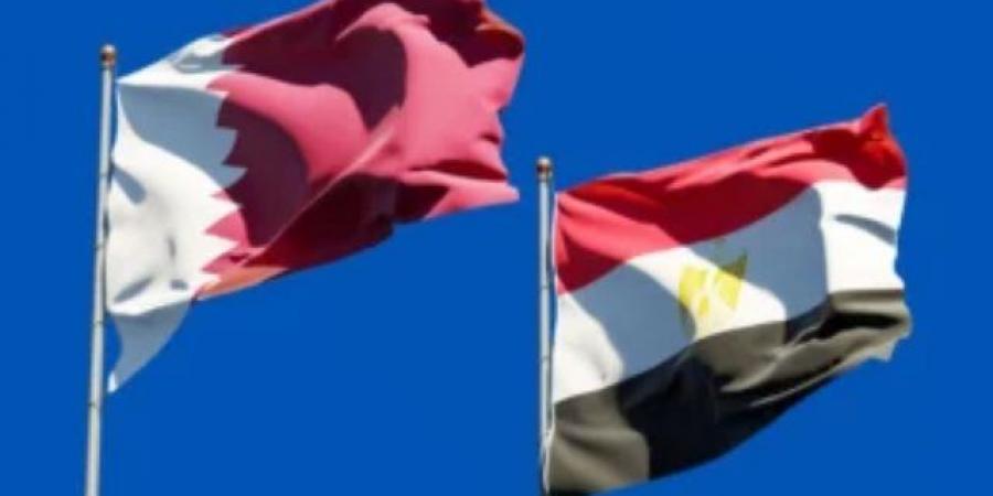 مصر تدين استهداف سفينة بضائع تجارية بالمياه الإقليمية لدولة قطر الشقيقة