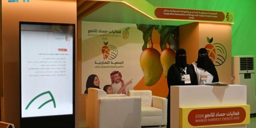 الجمعية التعاونية للمانجو بجازان تعزز التسويق المباشر عبر أكثر من 30 منفذا موسميا