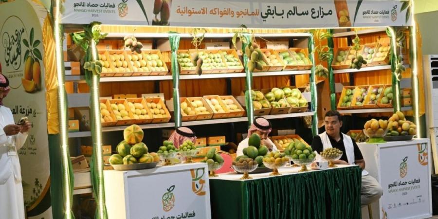 متاجر رقمية في «حصاد المانجو»
تعزز وصول المنتجات المحلية إلى الأسواق
