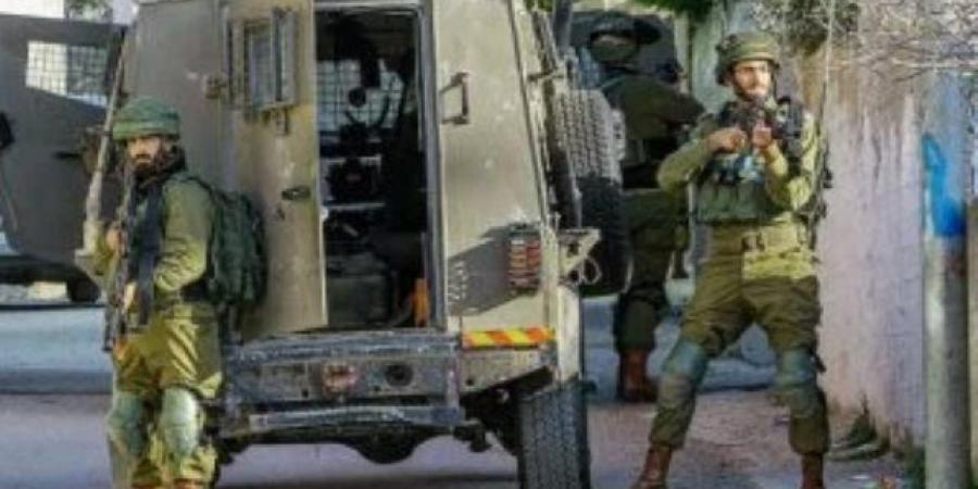 35 شهيدًا و176 جريحًا خلال أسبوع.. حصيلة جرائم الاحتلال في 168 ساعة من القتل والدمار