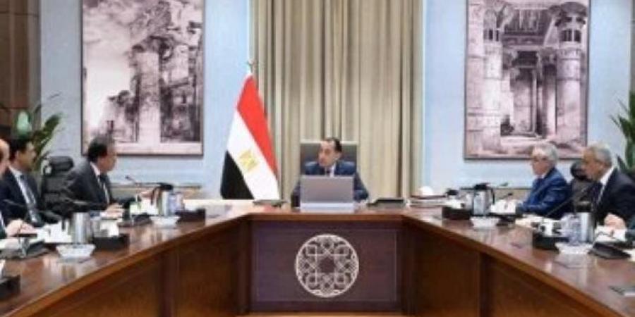رقم تاريخى.. رئيس الوزراء: توريد 4.6 مليون طن قمح من المزارعين حتى الآن